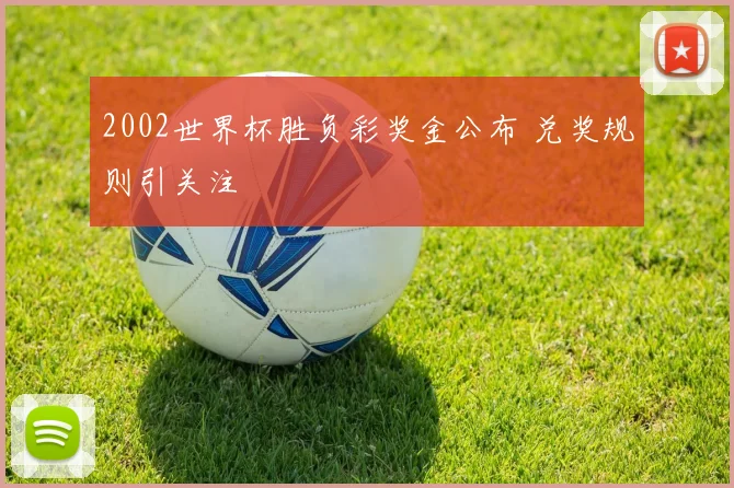 2002世界杯胜负彩奖金公布 兑奖规则引关注